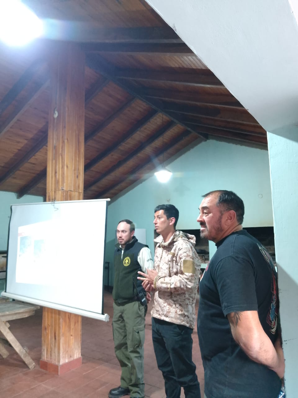 Logo o detalle ARMEI